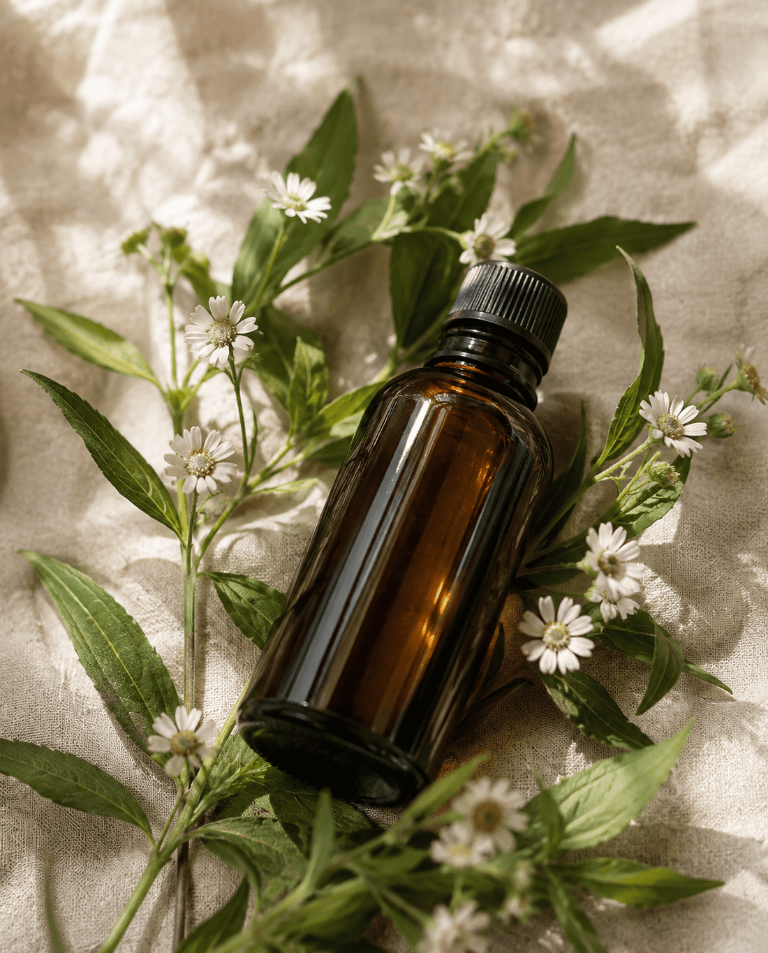 Bhringraj Oil for Grey Hair: Does This Ayurvedic Herb Really Work? - Mindful Molecules