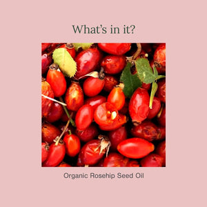 Roseship seeds shown what is inside the Organic Roseship Seed oil by Juicy chemistry