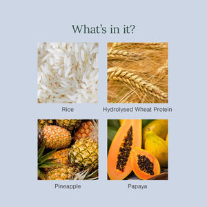 Ingredient grid for Juicy Chemistry Brightening Enzyme Cleanser showing rice, hydrolysed wheat protein, pineapple, and papaya