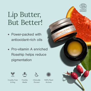 Blood Orange and Rosehip Lip Balm | Dry, Chapped & Pigmented Lips