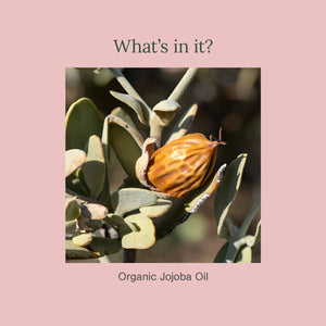 Organic Jojoba Oil | Omega-Rich Moisturising Oil | Balances Skin & Strengthens Hair