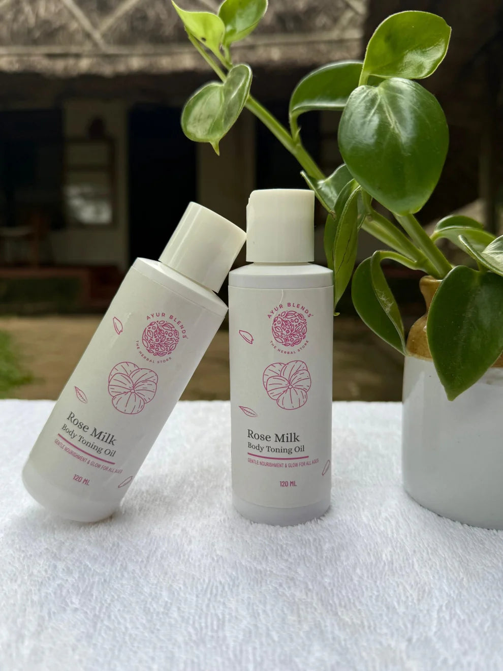 Rose Milk Body Toning Oil | Gentle Nourishment & Natural Glow | Traditional Milk & Botanical Oil Blend